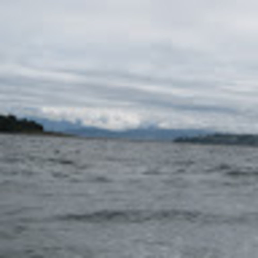 Meet your Posher, Rob